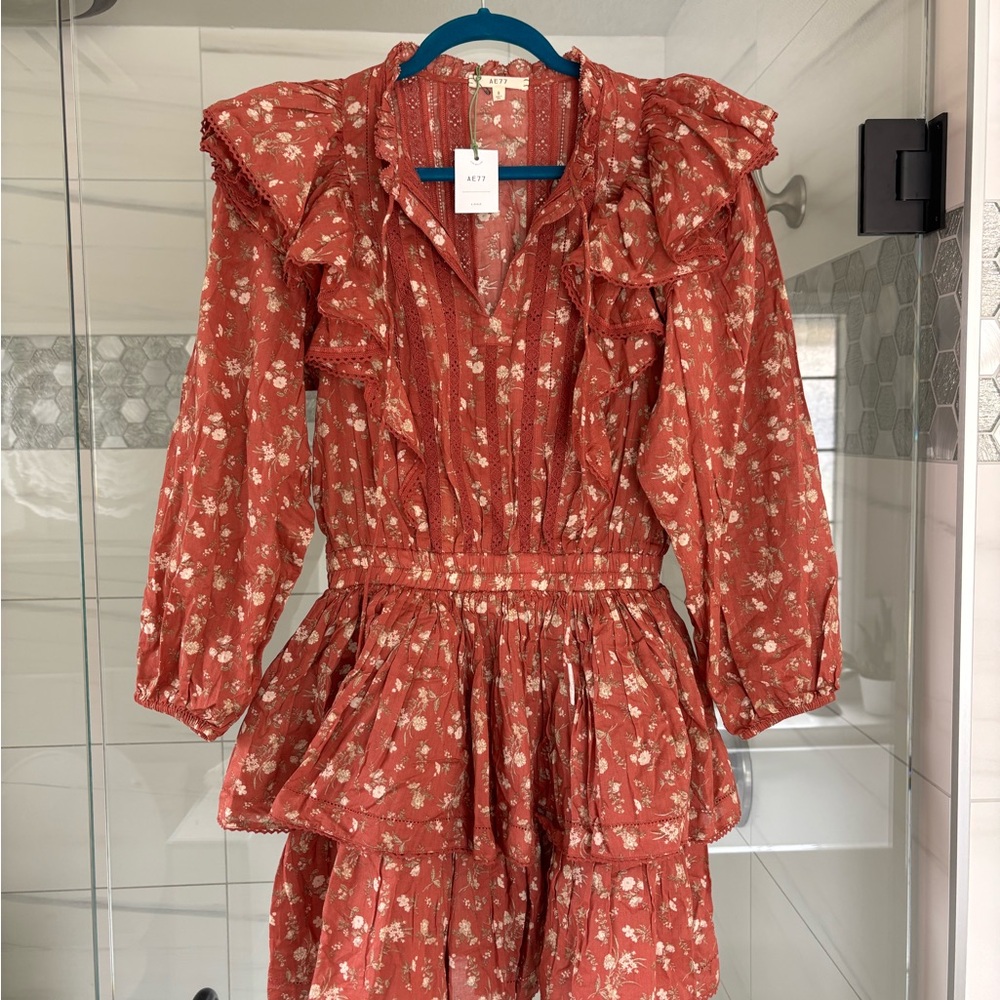 American Eagle Outfitters Floral Ruffle Dress - Rust Red